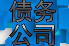 新荣如何避免债务纠纷？专业追讨公司教您应对之策